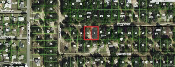 2513 Madison Street, Inverness, FL 34453