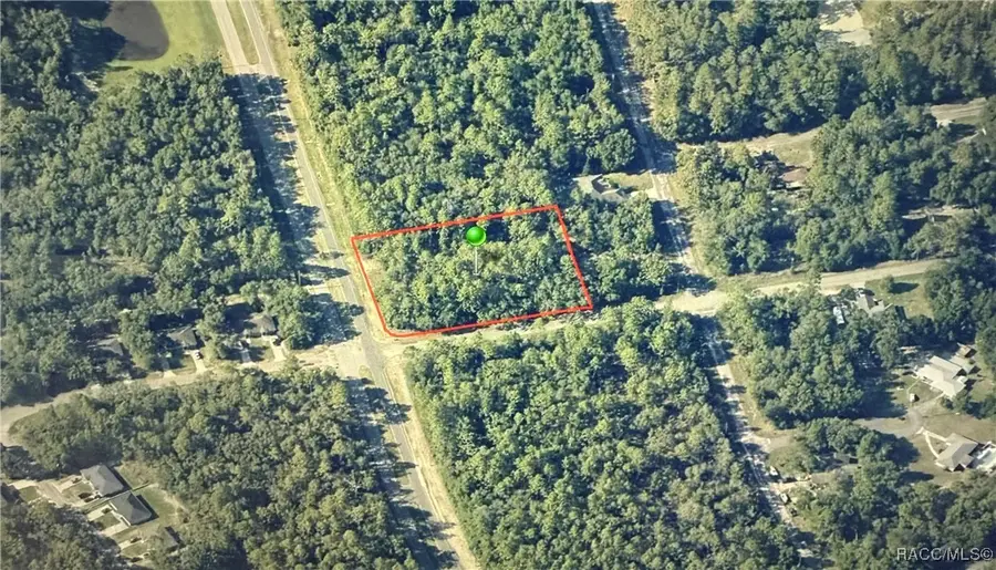 1286 W Evergreen Drive, Citrus Springs, FL 34434 - Image #2