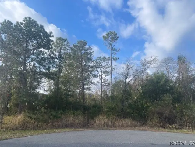 13000 Phoebe Court, Weeki Wachee, FL 34614 - Image #2