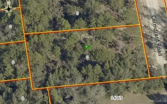13409 Cormorant Road, Weeki Wachee, FL 34614