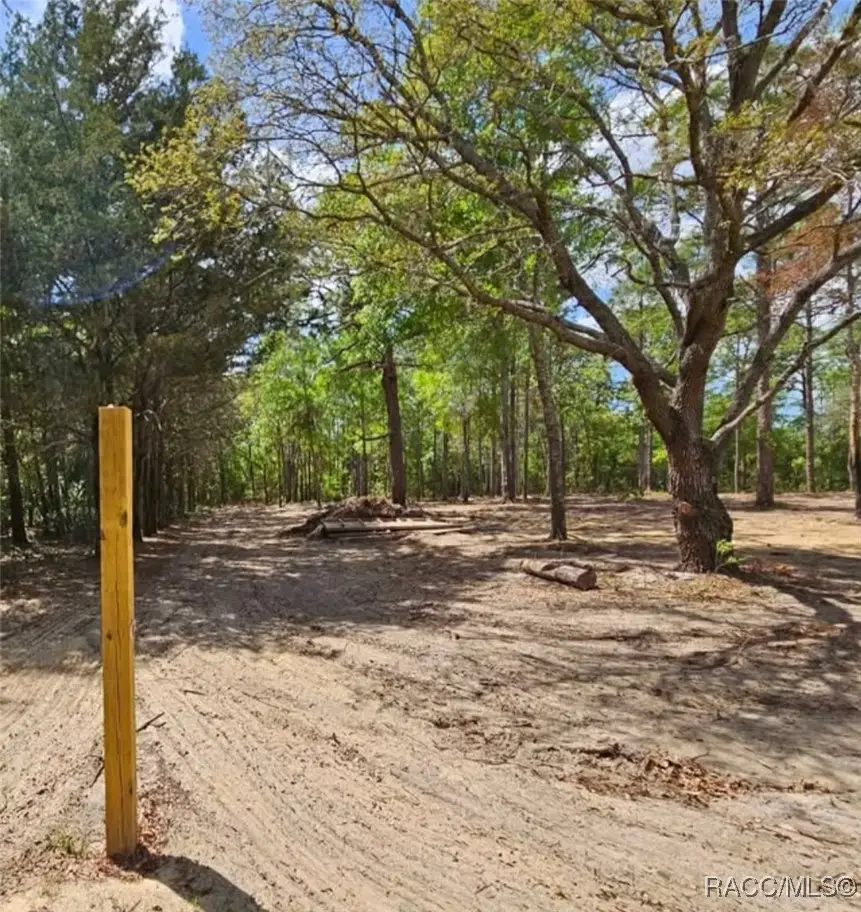 13409 Cormorant Road, Weeki Wachee, FL 34614 - #3