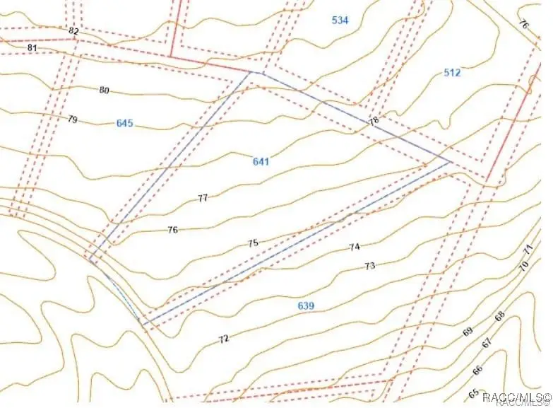 641 W Bancroft Drive, Citrus Springs, FL 34434 - Image #3