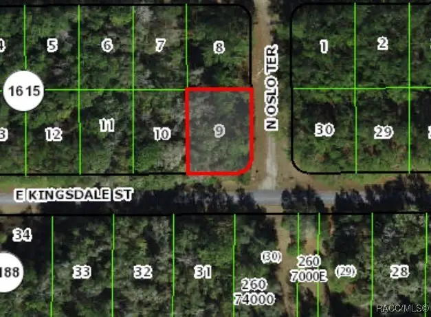 9060 N Oslo Terrace, Citrus Springs, FL 34434 - Image #3
