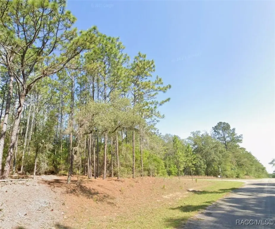 9318 N Lily Drive, Citrus Springs, FL 34434 - Image #1