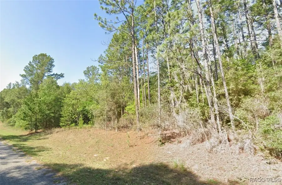 9318 N Lily Drive, Citrus Springs, FL 34434 - Image #2