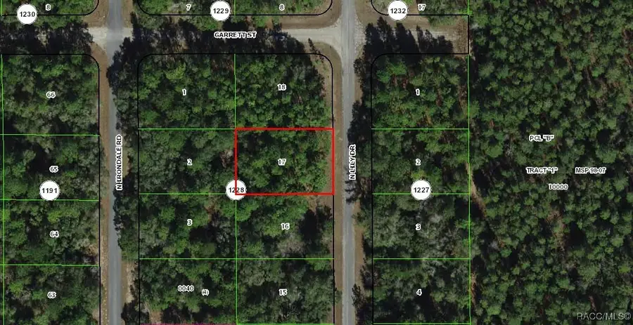 9318 N Lily Drive, Citrus Springs, FL 34434 - Image #3