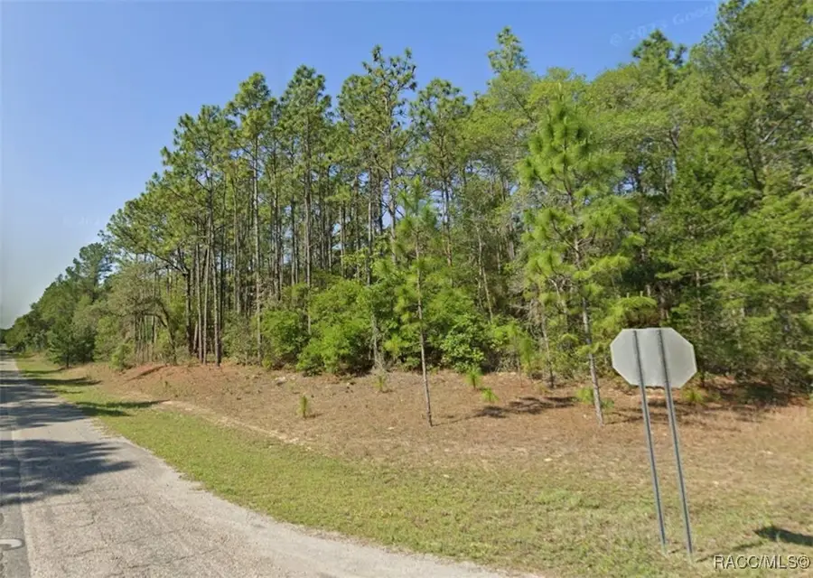 9330 N Lily Drive, Citrus Springs, FL 34434 - Image #3