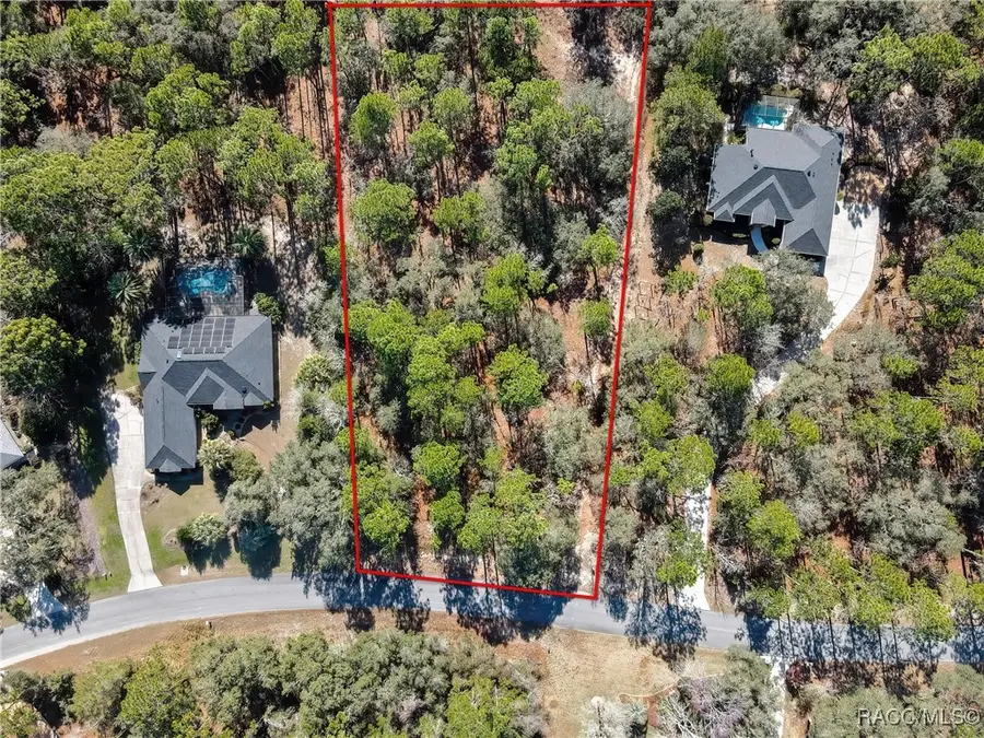 3921 N Longvalley Road, Hernando, FL 34442 - Image #2