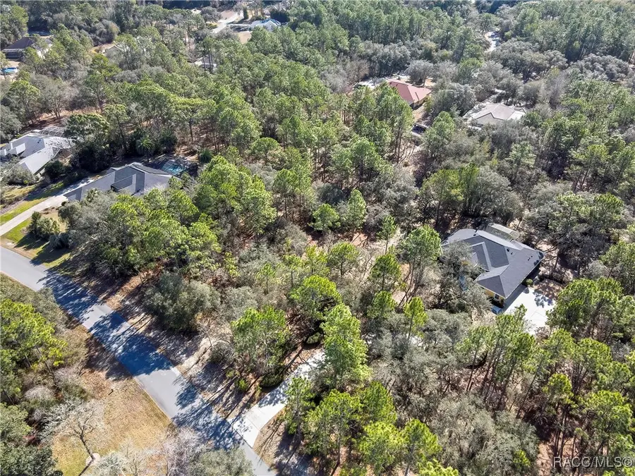 3921 N Longvalley Road, Hernando, FL 34442 - Image #3