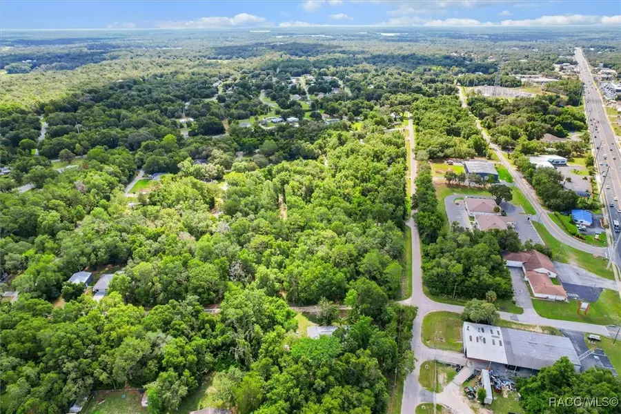 751 S Norma Avenue, Inverness, FL 34453 - Image #3