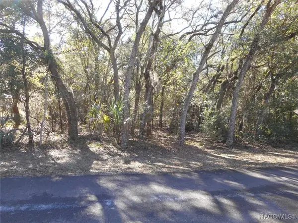 609 N Brighton Road, Lecanto, FL 34461