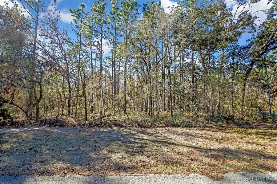 2 Portulaca Court, Homosassa, FL 34446 - Image #3