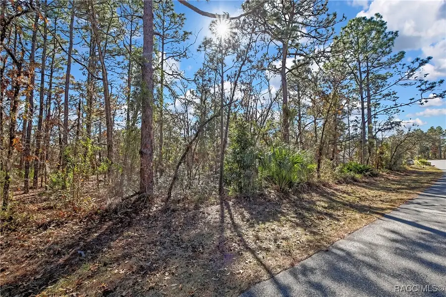 174 Daisy Street, Homosassa, FL 34446 - Image #3