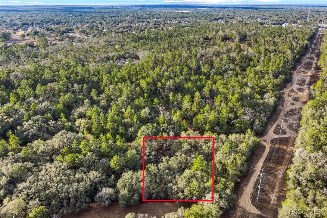 115 S Crestview Avenue, Inverness, FL 34452 - #1