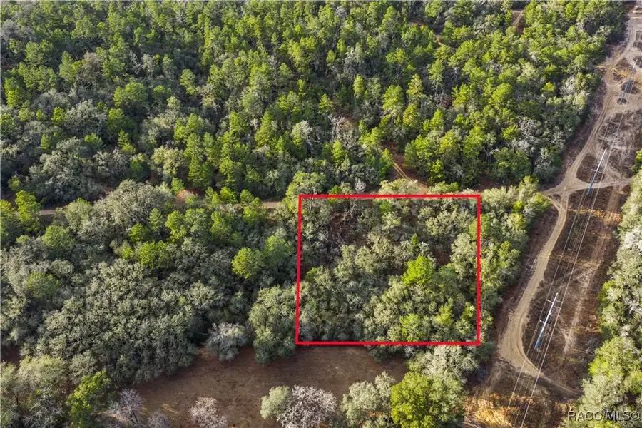 115 S Crestview Avenue, Inverness, FL 34452 - #2