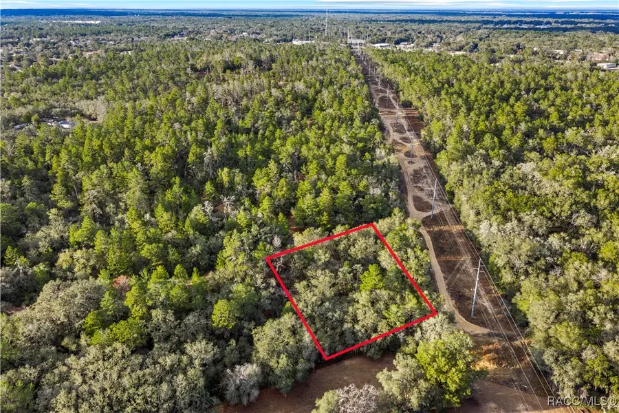 115 S Crestview Avenue, Inverness, FL 34452 - #3