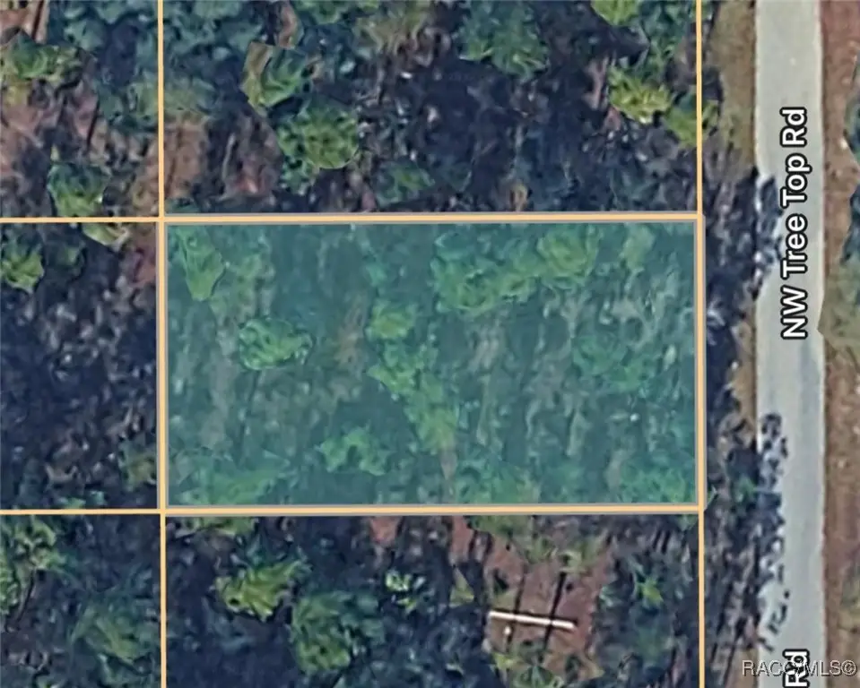 0000 NW Tree Top Unit #021 Road, Dunnellon, FL 34431 - Image #1