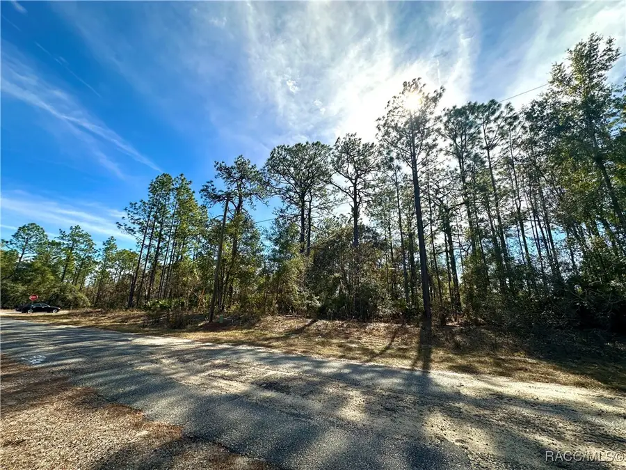 6914 N Heritage Drive, Citrus Springs, FL 34434 - Image #2