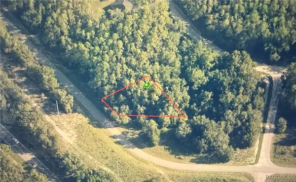 8287 N Quarry Drive, Citrus Springs, FL 34434