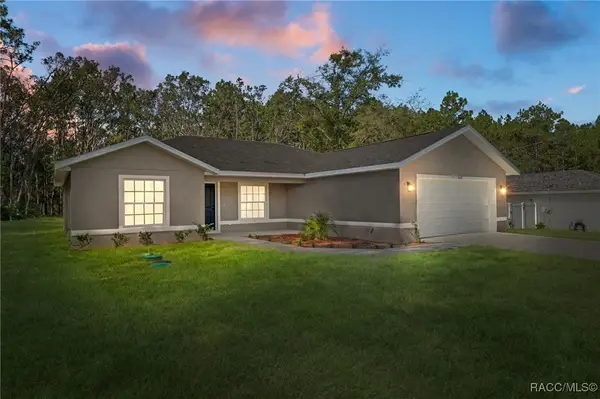 3155 W Randolph Lane, Citrus Springs, FL 34433