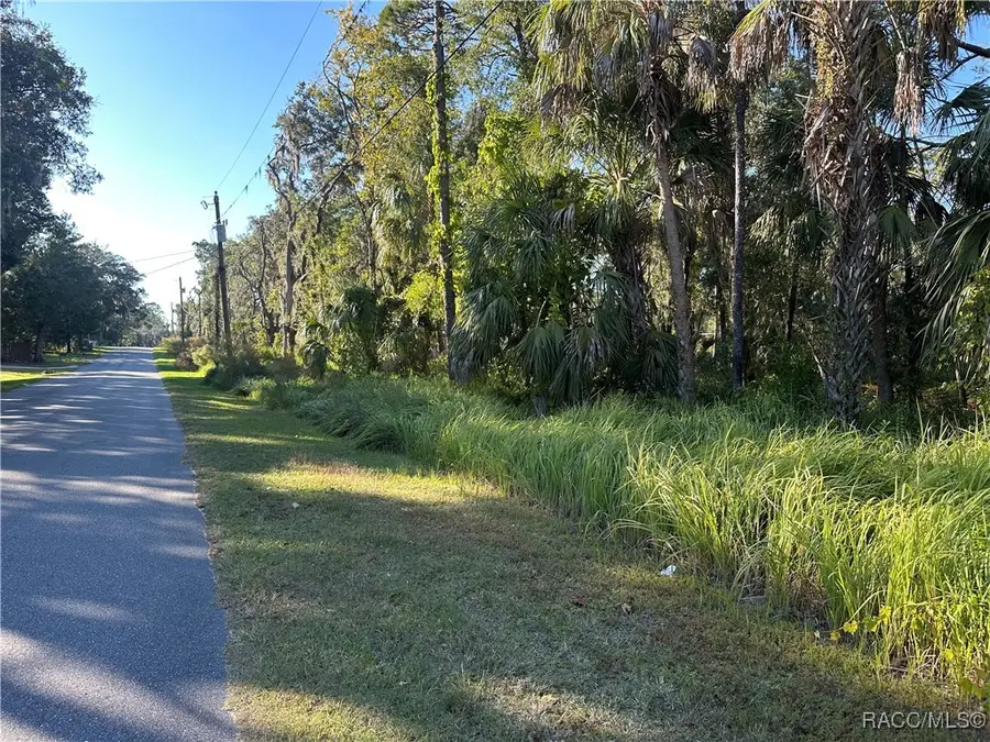 6347 W Arter Street, Crystal River, FL 34429 - Image #2