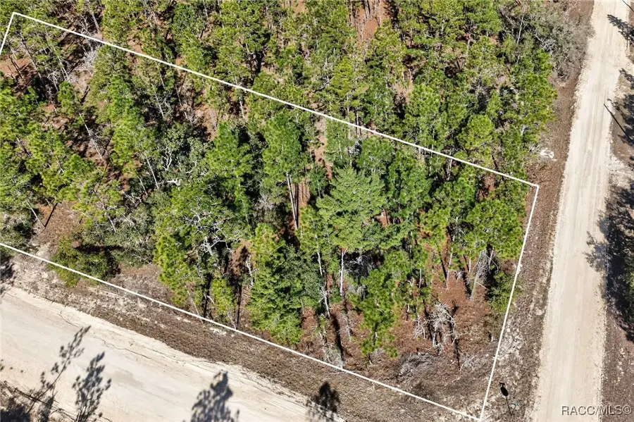 0 SE 2nd, Lot 6 Street, Williston, FL 32696 - #2