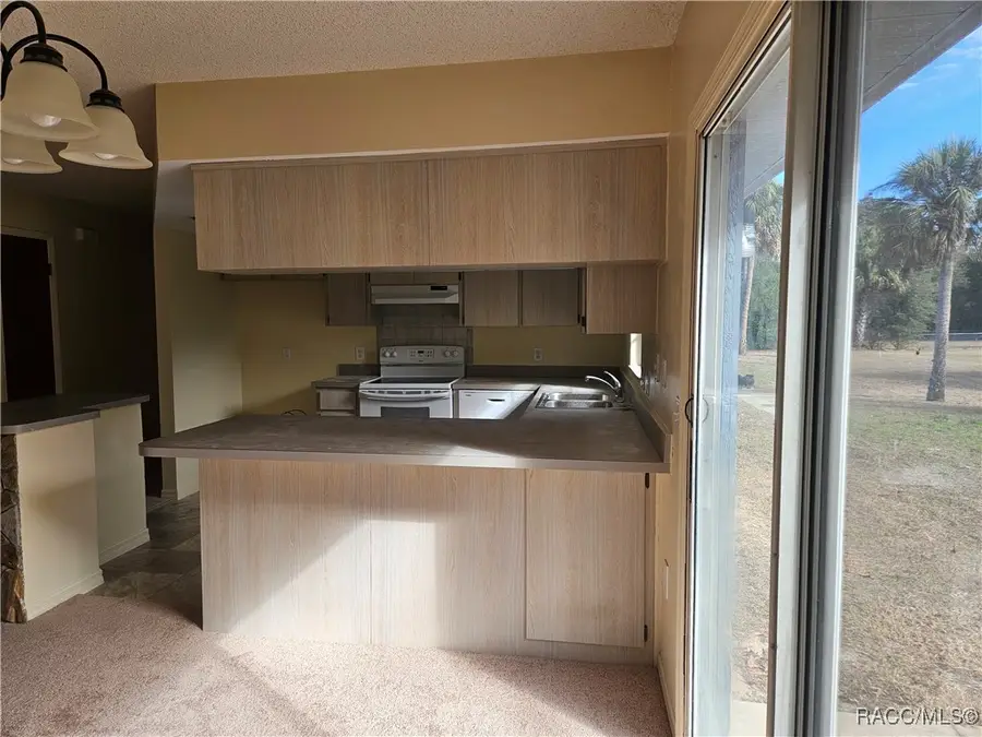 7370 W 7 Rivers Drive, Crystal River, FL 34429 - #3