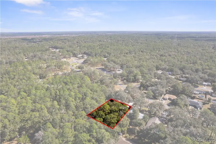 10180 N Citrus Springs Boulevard, Citrus Springs, FL 34434 - Image #3