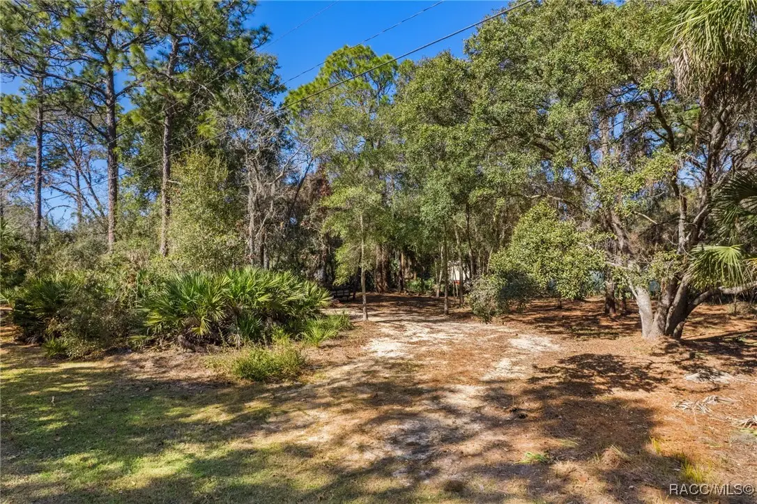 8181 W Tracy Court, Homosassa, FL 34448 - Image #1