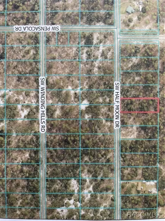 LOT 11 SW Half Moon Drive, Dunnellon, FL 34431