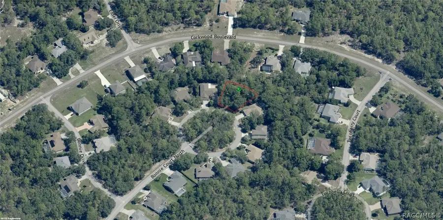 14 Bonnie Court N, Homosassa, FL 34446 - #3