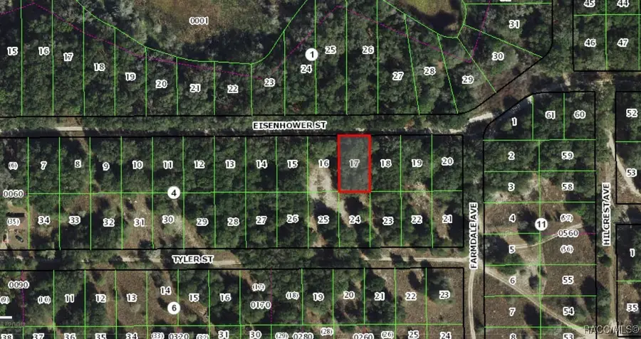 2307 Inverness Boulevard, Inverness, FL 34453 - Image #2