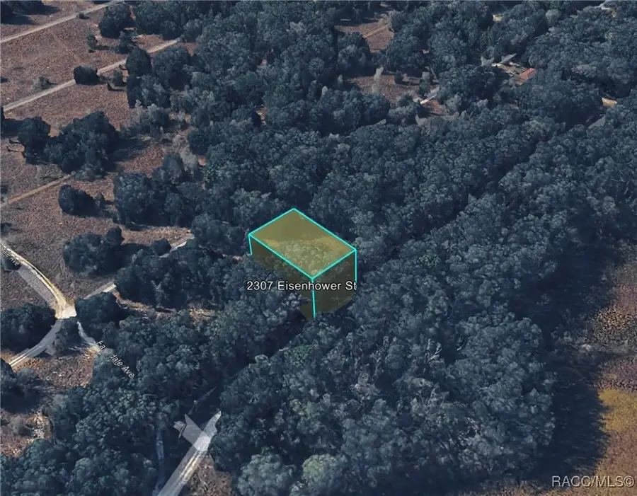 2307 Inverness Boulevard, Inverness, FL 34453 - Image #3