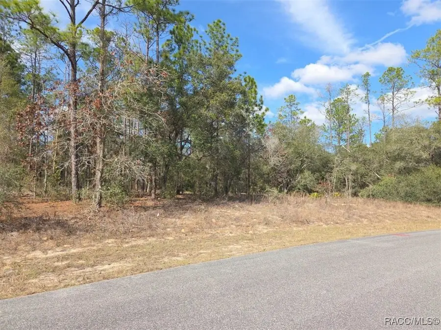 6430 N Elnora Way, Dunnellon, FL 34433 - Image #2