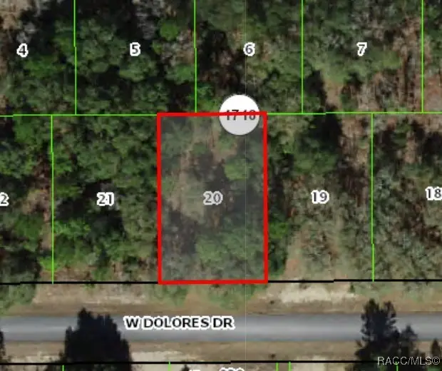 1439 W Dolores Drive, Citrus Springs, FL 34434 - Image #1