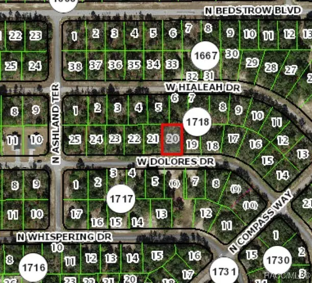 1439 W Dolores Drive, Citrus Springs, FL 34434 - Image #3