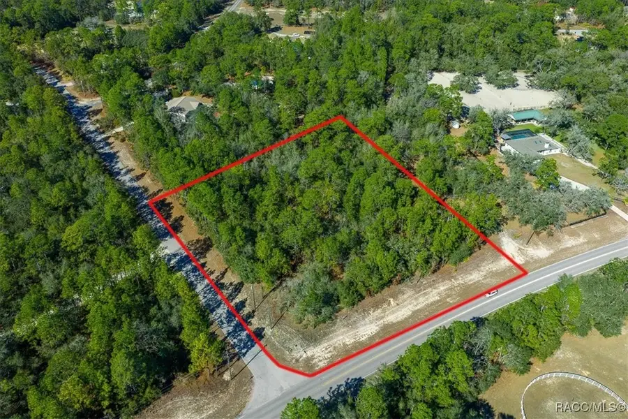 6055 W Ponderosa Place, Beverly Hills, FL 34465 - #3