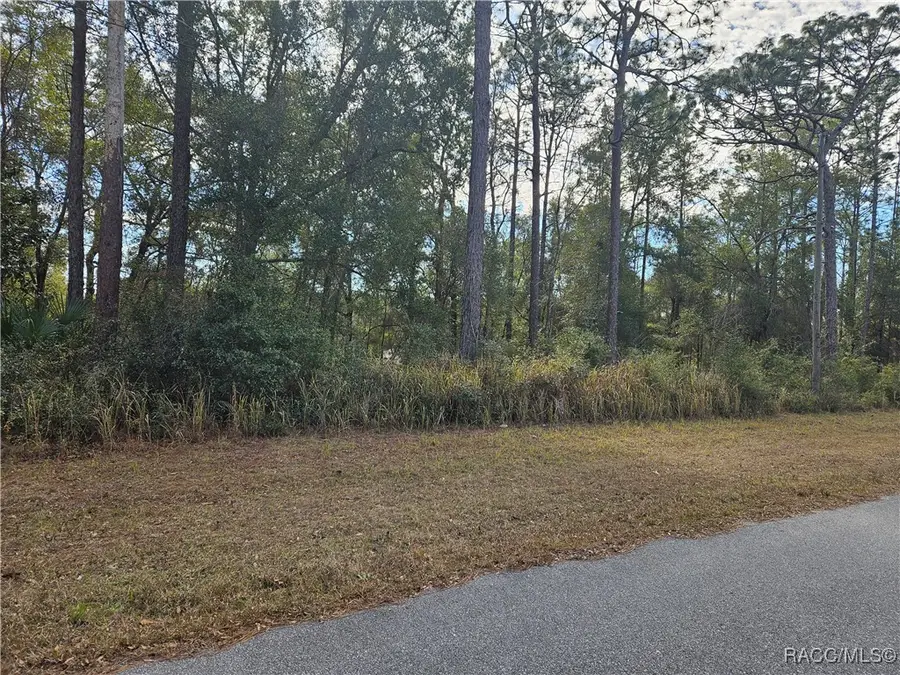 2682 W Century Boulevard, Citrus Springs, FL 34434 - Image #3