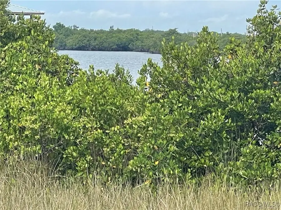 562 N Lake Circle, Crystal River, FL 34429 - #3