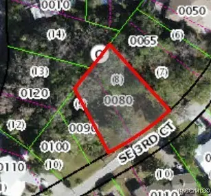 1614 2nd,1730 3rd740 SE 2nd, 3rd, 3rd Court, Crystal River, FL 34429 - #2