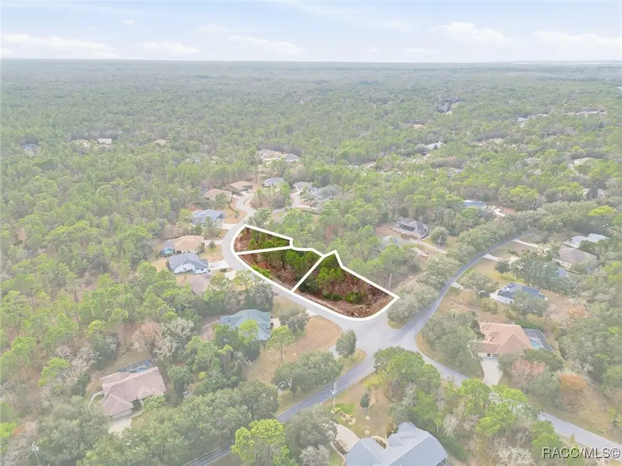 2, 4 & 8 Nephthytis Court, Homosassa, FL 34446 - Image #2