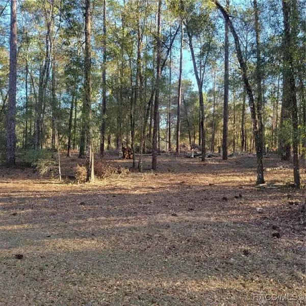 6766 E Waverly Street, Inverness, FL 34452