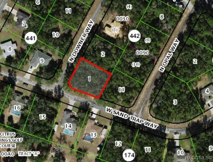 8261 N Downer Way, Citrus Springs, FL 34434 - #2