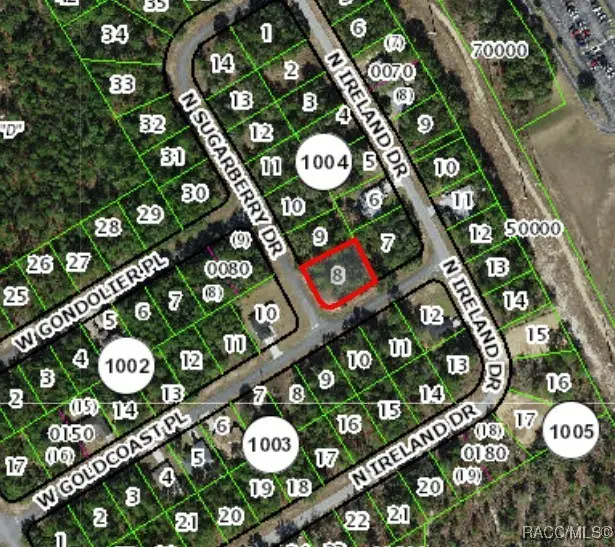 7363 N Sugarberry Drive, Citrus Springs, FL 34434 - Image #3