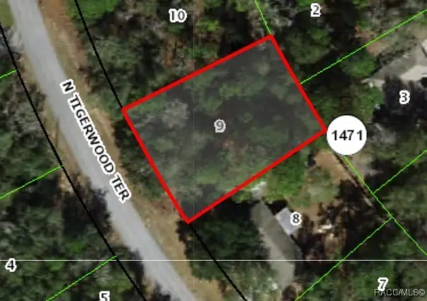 11057 N Tigerwood Terrace, Citrus Springs, FL 34434 - #1