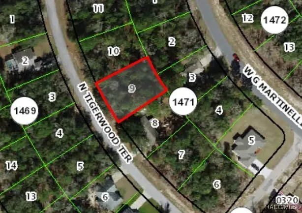 11057 N Tigerwood Terrace, Citrus Springs, FL 34434 - #2