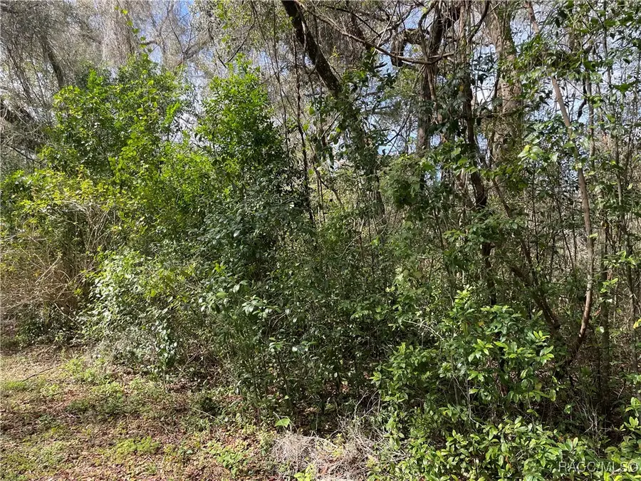 4780 S Rainbow Drive, Inverness, FL 34452 - Image #2