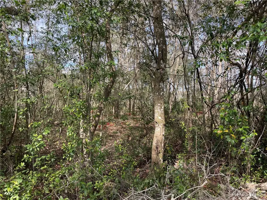 4780 S Rainbow Drive, Inverness, FL 34452 - Image #3