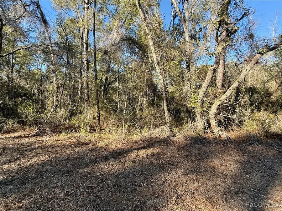 3350 E Kennedy Street, Inverness, FL 34453 - Image #2