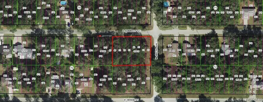 3350 E Kennedy Street, Inverness, FL 34453 - Image #3